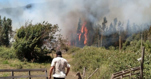 Región del Maule: Declaran Alerta Roja para la comuna de Romeral por incendio forestal cercano a sectores habitados