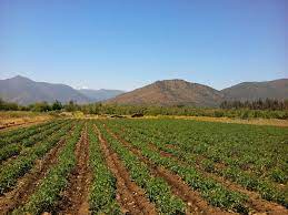 El desafío institucional para lograr la sustentabilidad agroambiental