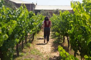 Constanza Moya, gerente de Enoturismo de Veramente: “No hay otra forma de hacer agricultura hoy que no sea siendo responsable”