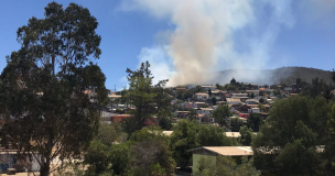 Declaran Alerta Roja para la comuna de Viña del Mar por incendio forestal: Más de cinco hectáreas consumidas