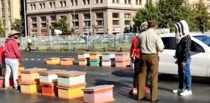 Manifestantes cortan el tránsito en la Alameda dejando paneles de abejas