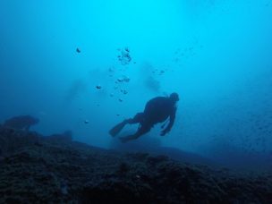 Lanzan plataforma web sobre el océano con proyecciones climáticas para la Región de Coquimbo