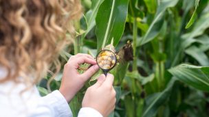 La importancia de las buenas prácticas agrícolas para producir mejores alimentos