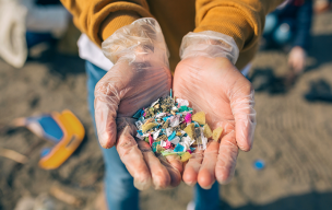 Investigación revela presencia de microplásticos en peces y mariscos en la zona costera de Chile central