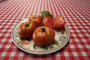 Rescate del tomate limachino y tecnificación del riego en Valparaíso