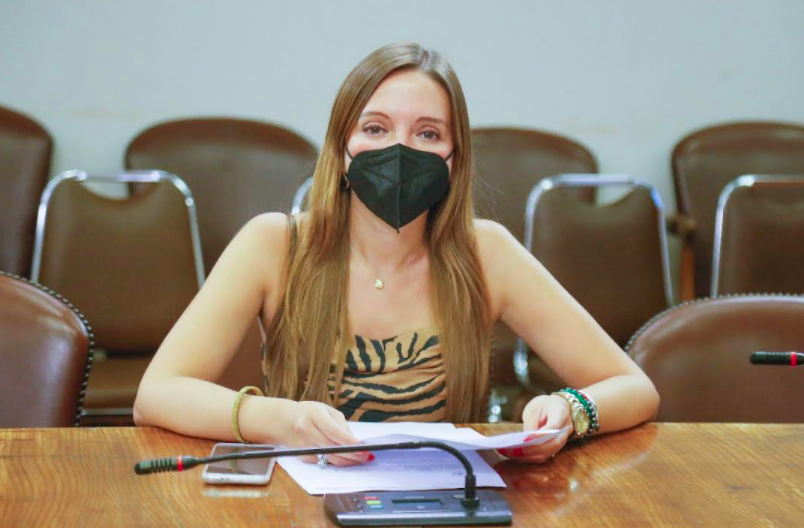 Diputada Flores pide al Gobierno suspensión de “horas punta” en la electricidad