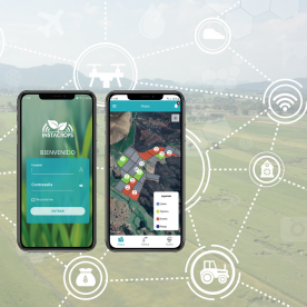 Startup chilena Instacrops transforma la industria con su modelo de negocios al alcance de todos los agricultores