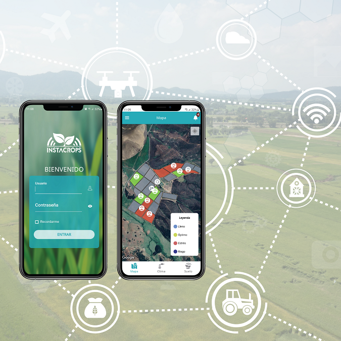 Startup chilena Instacrops transforma la industria con su modelo de negocios al alcance de todos los agricultores