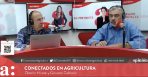 Checho Hirane sobre el proyecto de indulto: 