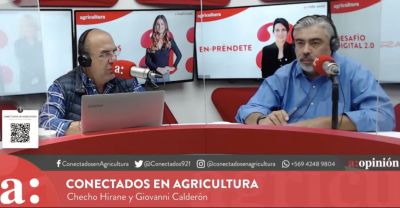 Checho Hirane sobre el proyecto de indulto: “Todas las medidas van en favor de los delincuentes”
