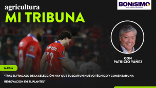 Columna de Patricio Yáñez: “Tras el fracaso de la selección hay que buscar un nuevo técnico y comenzar una renovación en el plantel”