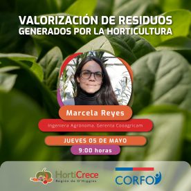 Tercer ciclo de charlas HortiCrece: Desarrollo y perfeccionamiento de la agricultura en O’Higgins