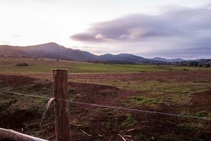 Diputados UDI por reactivación de compra de tierras en la macrozona sur: “Es una política fracasada que no inhibe a los grupos terroristas”