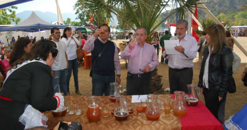 “Fiesta de la Chicha”: Curacaví retoma celebración presencial y confirma parrilla de artistas