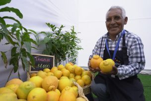 ¡Vuelve la ExpoMundoRural de Indap! En Iquique se inaugura nuevo espacio de comercialización para pequeños agricultores