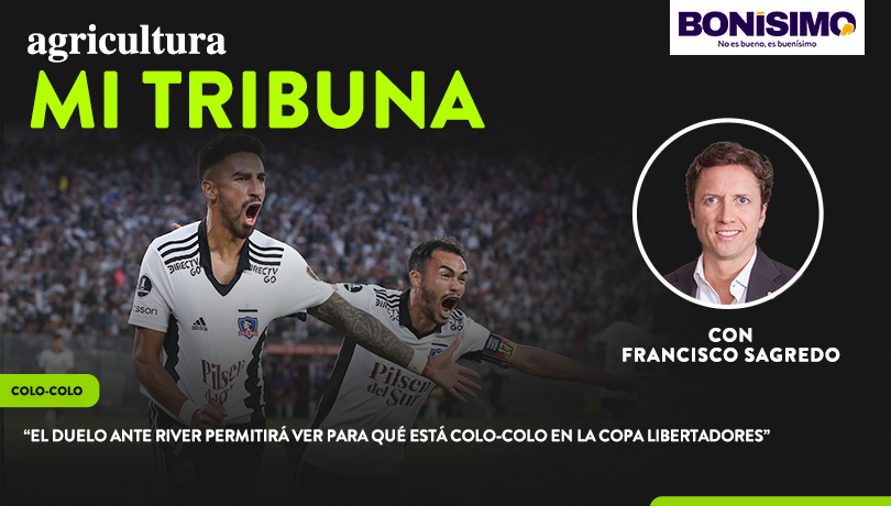 Columna de Francisco Sagredo: “El duelo ante River permitirá ver para qué está Colo-Colo en la Copa Libertadores”