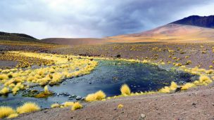 Caso Silala: Este viernes comienzan los alegatos orales entre Chile y Bolivia ante La Haya