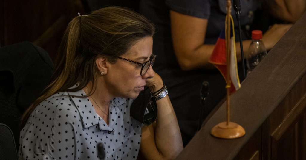 Teresa Marinovic sobre propaganda de la Convención: “No tiene ninguna connotación informativa”