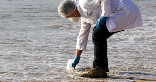 Viña del Mar: Confirman altas concentraciones de hidrocarburos en sector las Salinas