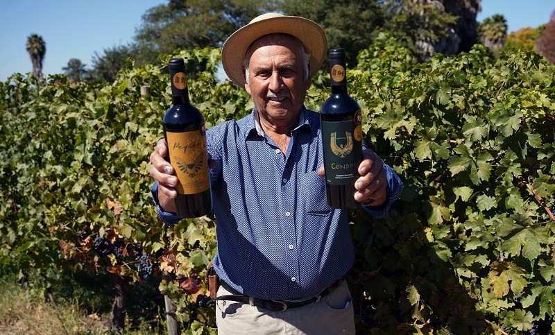 Expo Viñas Campesinas de Colchagua: Invitan a degustar los mejores vinos este fin de semana en Chépica