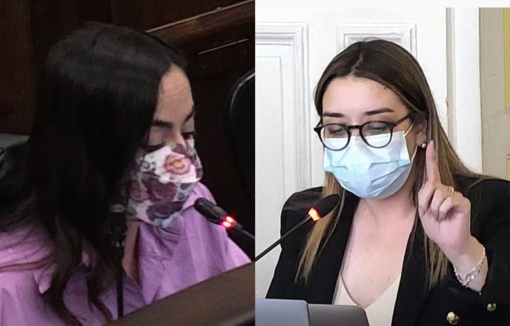 Convencional Ampuero presentará denuncia al comité de Ética contra Montealegre: “Me insultó llamándome ‘de pequeño cerebro’”