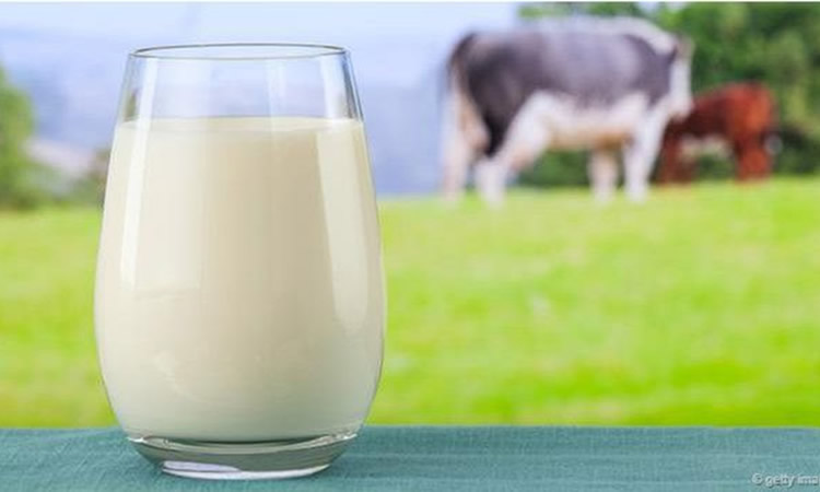 Baja de la producción de la leche podría impactar el IPC de lácteos
