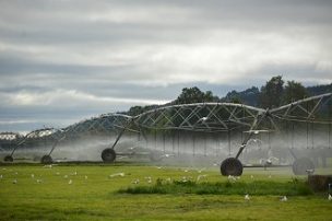 Se destraba tramitación de solicitudes de derechos de aguas en acuífero Río Bueno