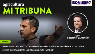 Columna de Cristián Caamaño: “En medio de un torneo se quedarán fuera varios de los mejores árbitros y eso puede influir directamente en la dirección de los partidos”