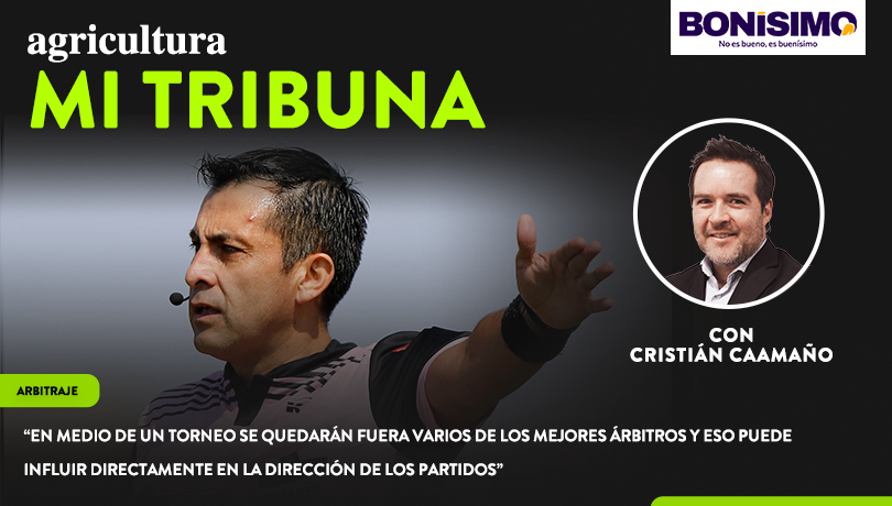 Columna de Cristián Caamaño: “En medio de un torneo se quedarán fuera varios de los mejores árbitros y eso puede influir directamente en la dirección de los partidos”