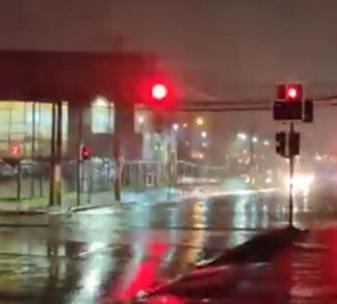 Temporal de lluvia y viento provoca cortes de luz y caída de árboles en el sur del país