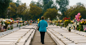 Por el Día de la Madre: Cementerio Metropolitano realizará misa y jornada musical