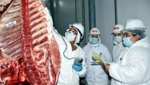 Las exportaciones de carne bovina hasta abril registran 7.182 toneladas, 13% superior a 2021