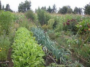 Abordaron conceptos de agroecología, protección del suelo y política públicas￼