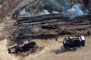 Asociación de contratistas forestales valora propuesta del Ejecutivo: 