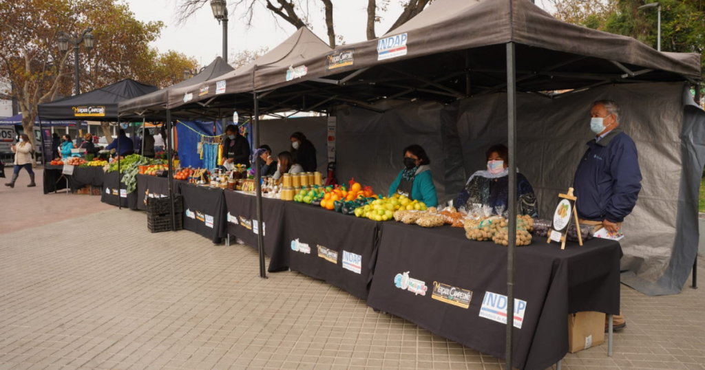 Sequía y seguridad alimentaria: Minagri e Indap refuerzan apoyo a productores de la Región Metropolitana