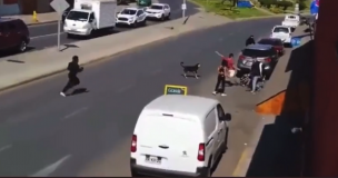 Delincuentes inician tiroteo en Antofagasta en cercanías de un colegio y a plena luz del día