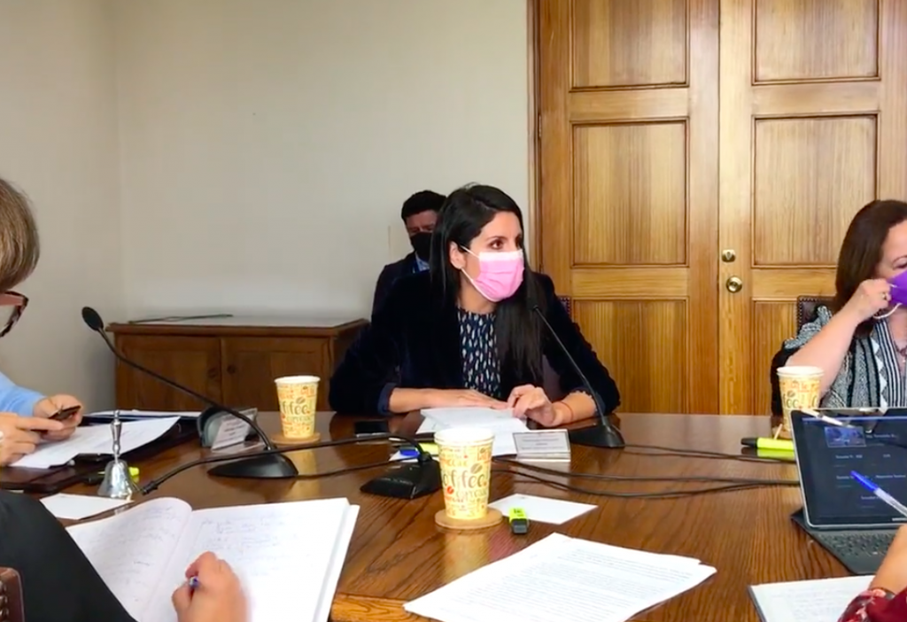 Senadora Gatica por acuerdo en materia de seguridad pública: “El Gobierno ya no puede seguir con tantas vacilaciones”