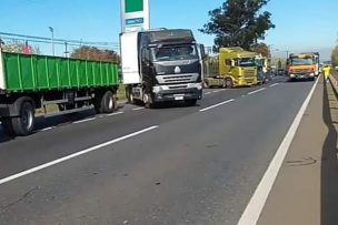 Contratistas forestales valoran nueva propuesta del gobierno y transportistas deciden este jueves fin de movilizaciones en la Macrozona Sur