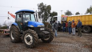 85 toneladas de semilla certificada de trigo entrega Indap Ñuble a través de Programa Gestor Comercial