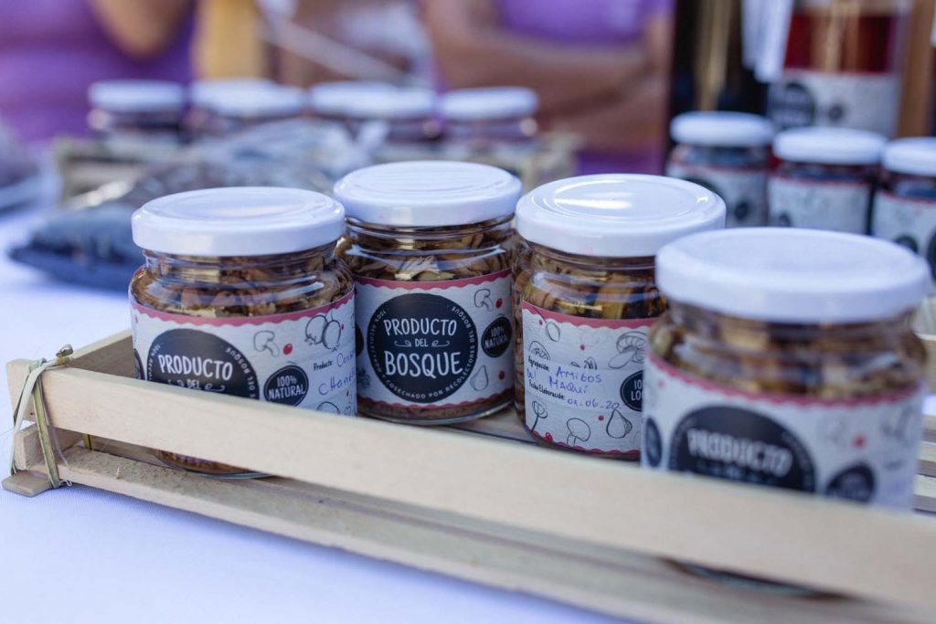 Recolectores del bosque se capacitan para dar valor agregado a los tradicionales frutos silvestres