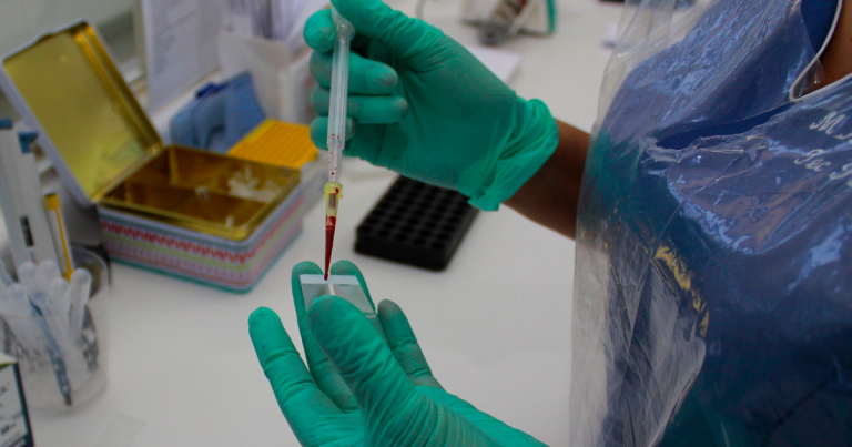 Confirman muerte de joven madre por hantavirus en Los Lagos: Chile suma 45 casos durante 2026