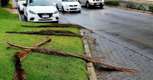 Onemi declara Alerta Temprana Preventiva en sectores de la región de Antofagasta por viento