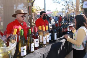 Valle de Colchagua apuesta por sus vinos campesinos