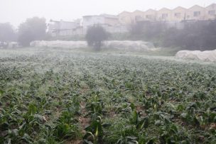 Climatólogo advierte a agricultores: 