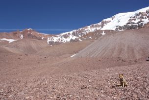 Boletín Climático del CEAZA confirma escasas lluvias para los próximos meses en la Región de Coquimbo