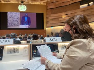 Ministra Yarza expone proceso chileno de reforma a la salud ante Asamblea de la OMS