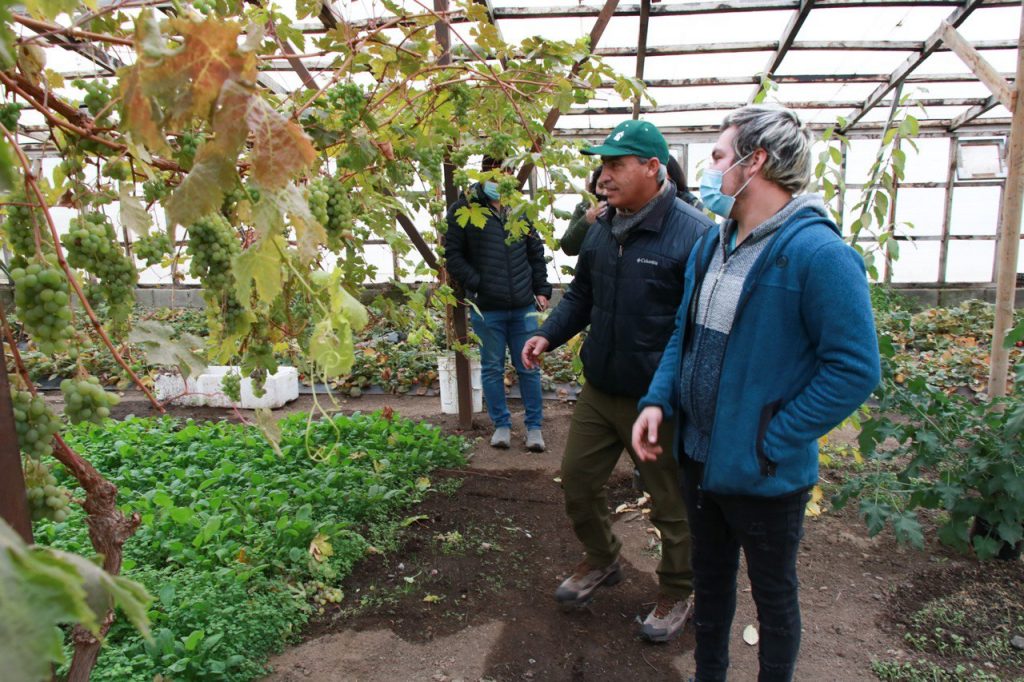Subsecretario de Agricultura anuncia incentivos para jóvenes agricultores en la Región de Magallanes