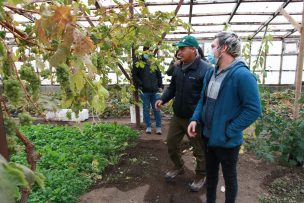 Subsecretario de Agricultura anuncia incentivos para jóvenes agricultores en la Región de Magallanes 