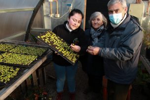 Joven agricultora quintuplicó su producción gracias al primer cuarto climatizado que se construyó en la zona austral del país