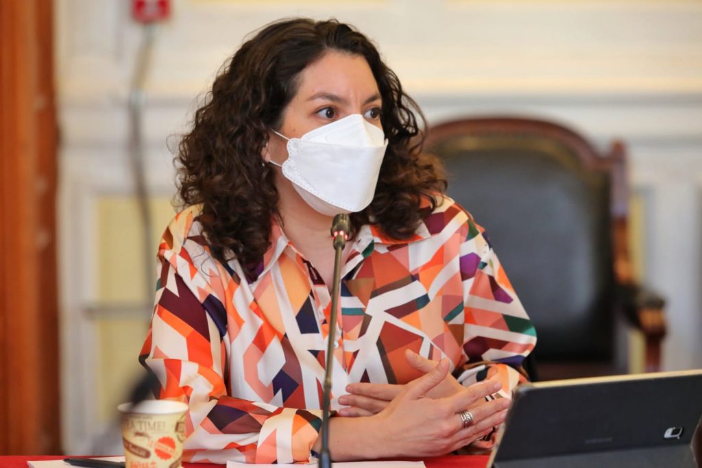 Ministra de Bienes Nacionales y crisis habitacional: “Debemos ampliar nuestro patrimonio inmueble fiscal”